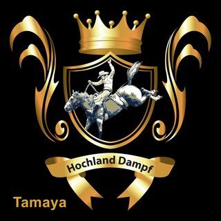 Příchuť Hochland Dampf - Tamaya / Káva a tabák 10ml