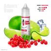 Příchuť Adams vape S&V: Lime Currant / Rybíz s limetkou na ledu 10ml